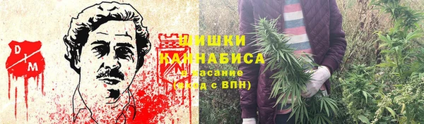 дживик Медвежьегорск