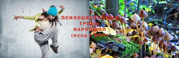 дживик Медвежьегорск