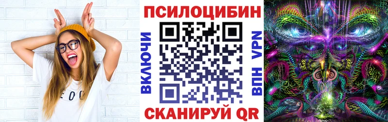 что такое наркотик  Стрежевой  Псилоцибиновые грибы мицелий 